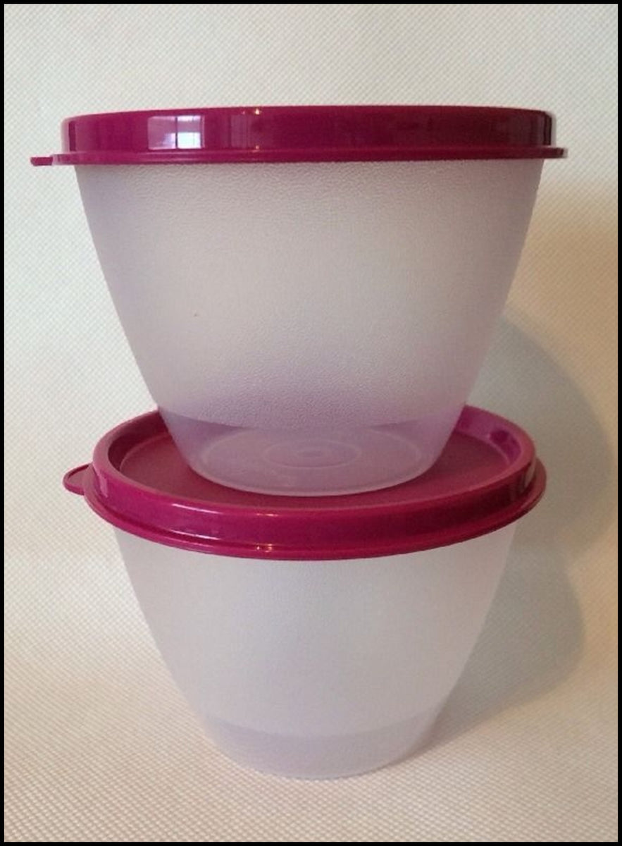 TUPPERWARE 2 14-oz Serving Center Storage Container Snack Bowls with S –  Plastic Glass and Wax ~ PGW