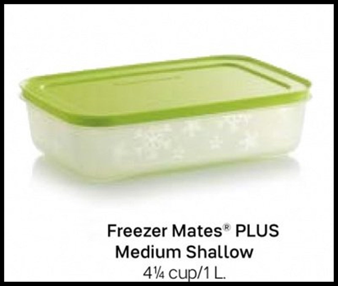 Tupperware Freezer Mates Small Low 450 ml white orange (4)