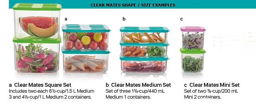 New TUPPERWARE Clear Mates Storage Containers Set Purple and Green