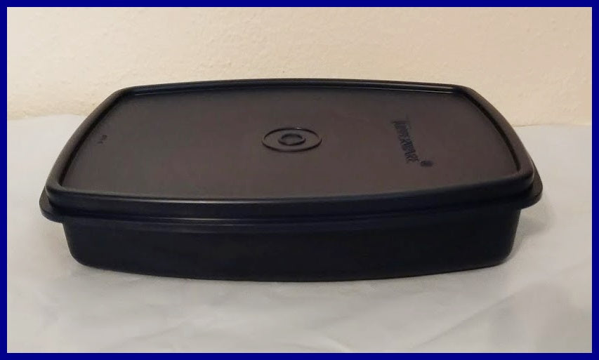 TUPPERWARE SIDE BY SIDE LUNCH-IT DIVIDED DISH / CONTAINER