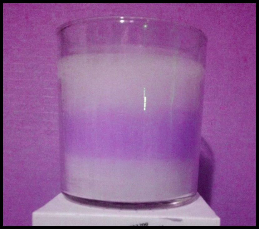 PartyLite GLOLITE GLOW LIGHT 2-Wick Round Glass Jar Boxed Candle GERANIUM CITRONELLA LT PURPLE