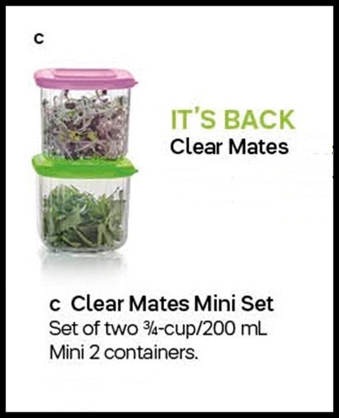 Tupperware CLEARLY ELEGANT 2 CLEAR MATES MINI 2 SQUARE CONTAINERS GRAPE PURPLE