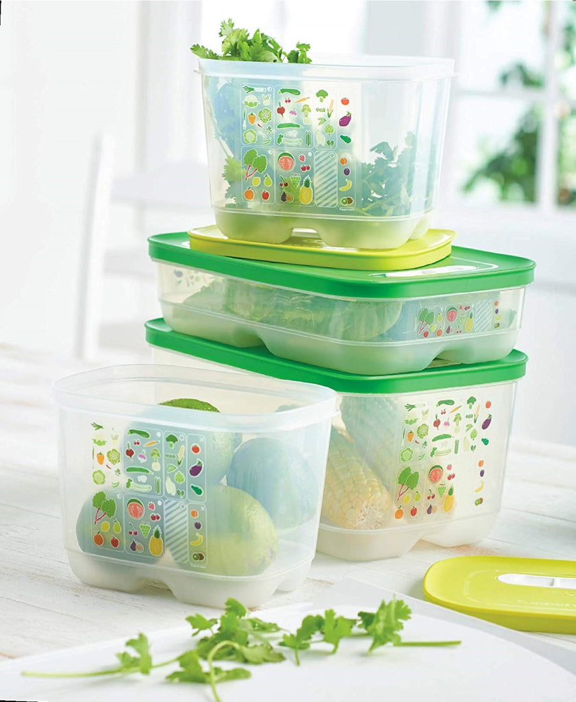 Tupperware FreezeSmart Freezer Containers Set of 4 Sizes Mixed Colors