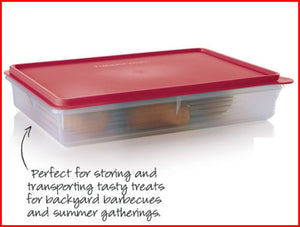 Tupperware Large Carry All Raspberry Red Handle and Seal