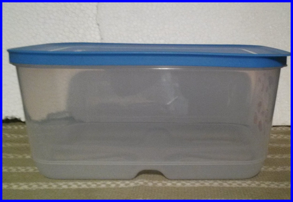New Tupperware Extra Large FridgeSmart Container 9.9L/40 cups Clear/Green  Lid
